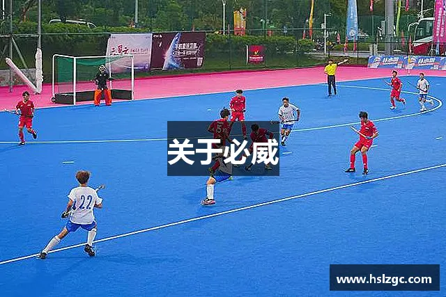 发现开云体育官网